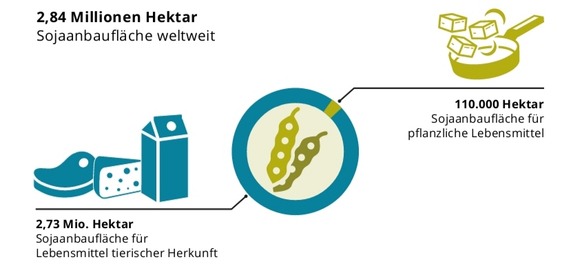 Bild Sojaanbauflaeche